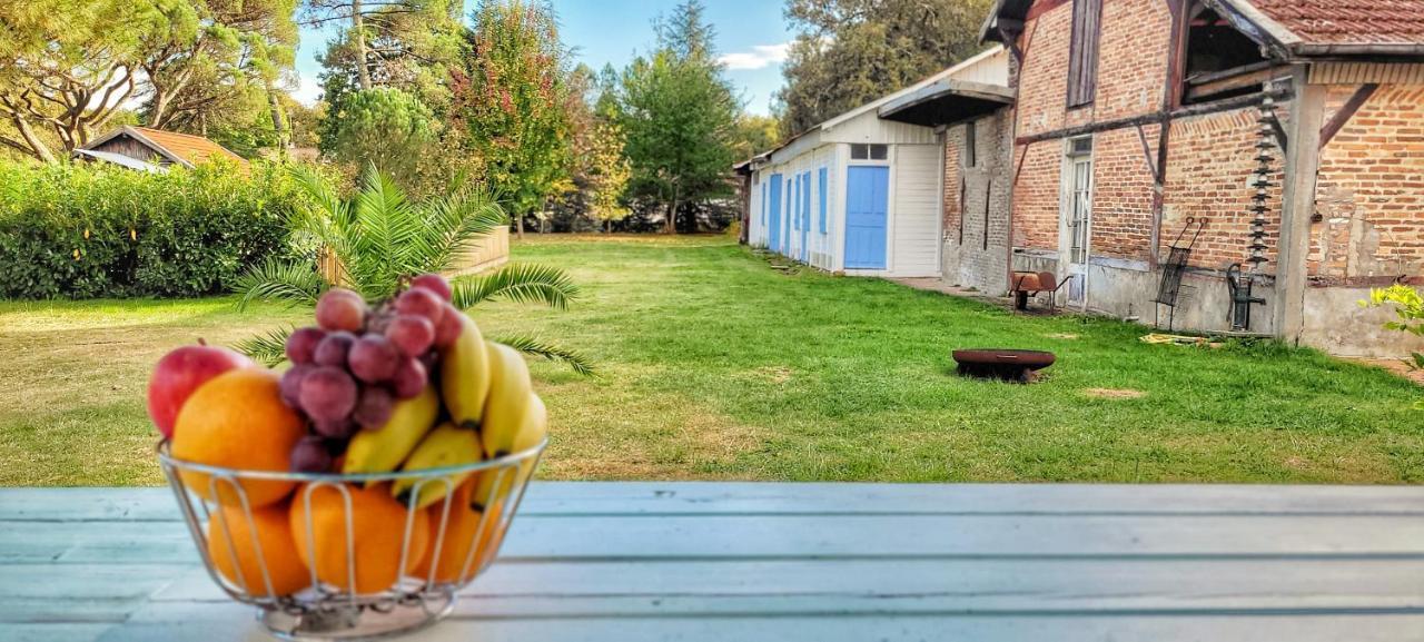 Charmante Maison Dans Les Landes X 10 Avec Piscine Et Salle D Escalade Lue Екстериор снимка
