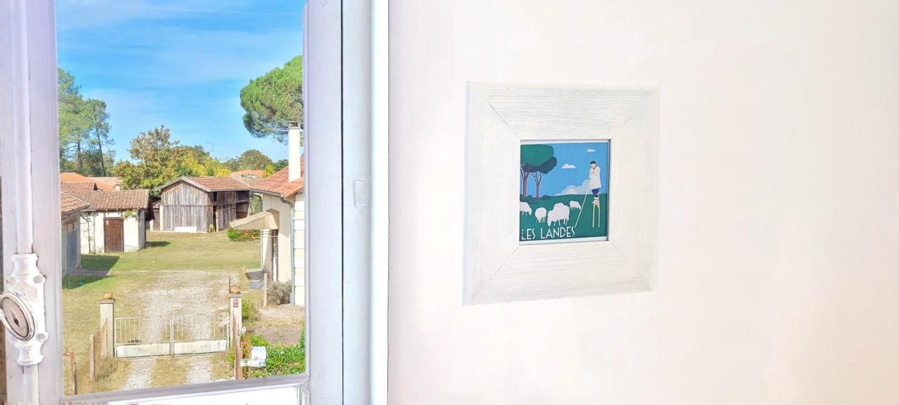Charmante Maison Dans Les Landes X 10 Avec Piscine Et Salle D Escalade Lue Екстериор снимка